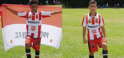 Goleadores Chiquifutbol