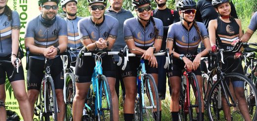 Semilleros Deportivos / Empresa