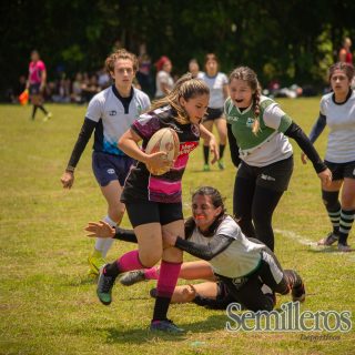 semilleros-deportivos-Rugby-Risaralda