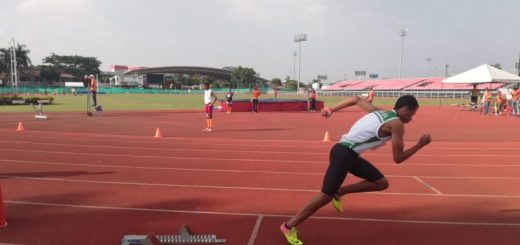 Raúl Junior Palacios