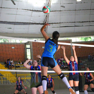 VOLEIBOL FESTIVAL MAYORES