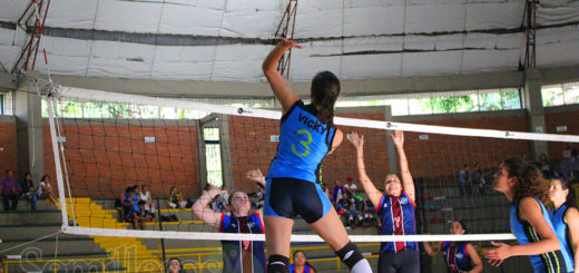 VOLEIBOL FESTIVAL MAYORES