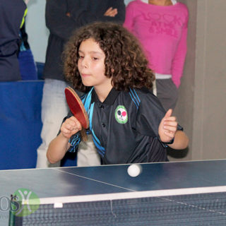 Tenis de mesa