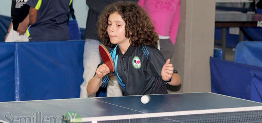 Tenis de mesa