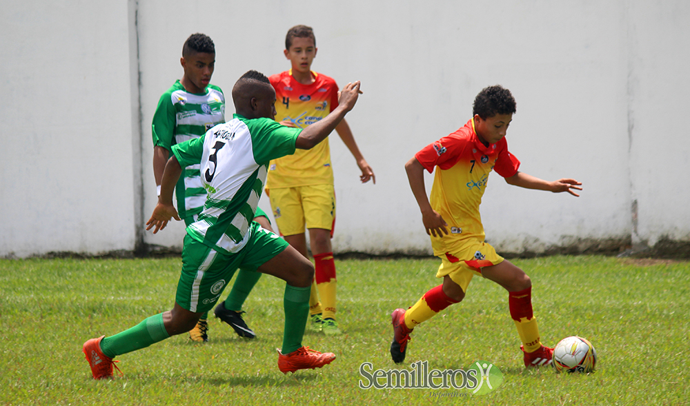 Zonal Semifinal Infantil - Estadio La Tebaida - Fútbol Infantil - 2018 (2)