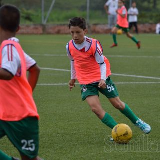 Festival de Festivales