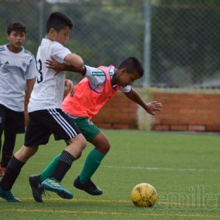 Festival de Festivales 2018