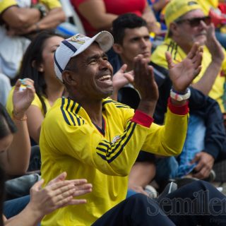 Hincha colombiano