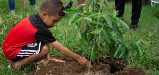 Campamento Academia Italiana de Fútbol