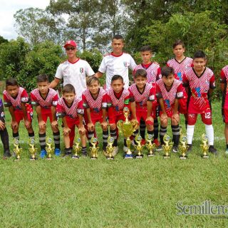 Piguas campeones Boy Toys