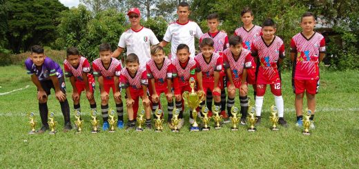 Piguas campeones Boy Toys