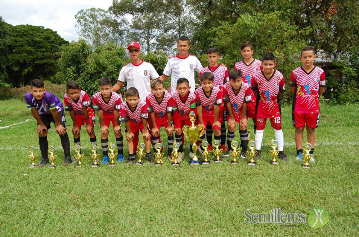 Piguas campeones Boy Toys