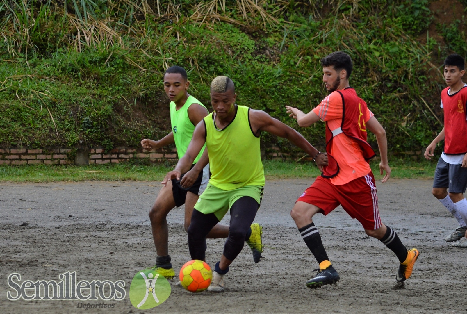 Club Fox Pereira