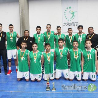 Semilleros Deportivos / Voleibol
