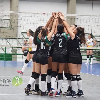 Semilleros Deportivos