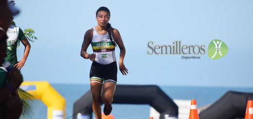 Semilleros Deportivos / Natalia Andrea Vargas