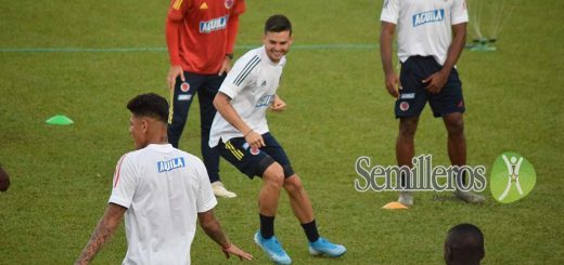 Semilleros Deportivos / fútbol