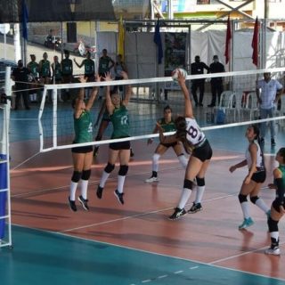 Nacional de voleibol femenino