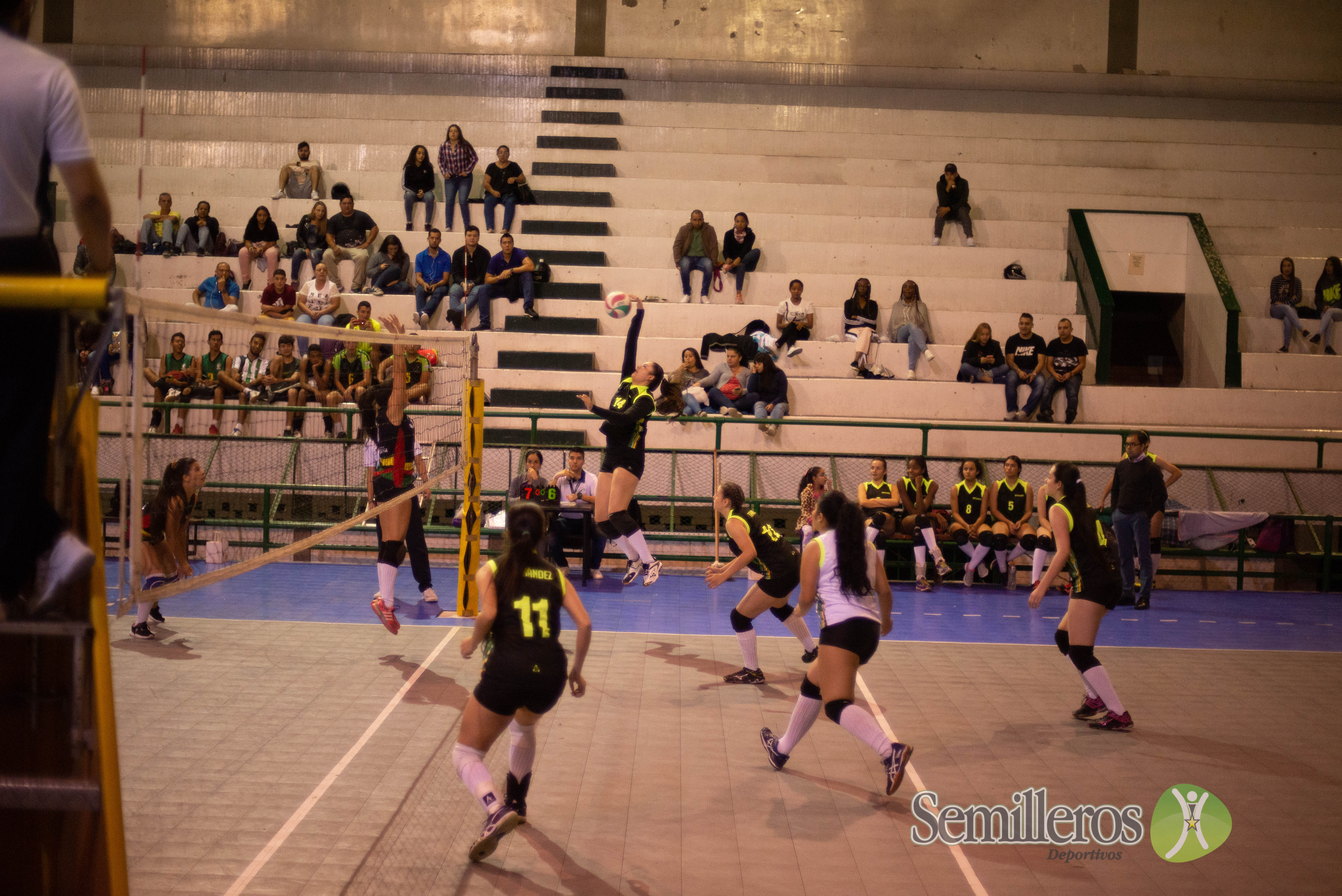 Final Voleibol femenino Universus