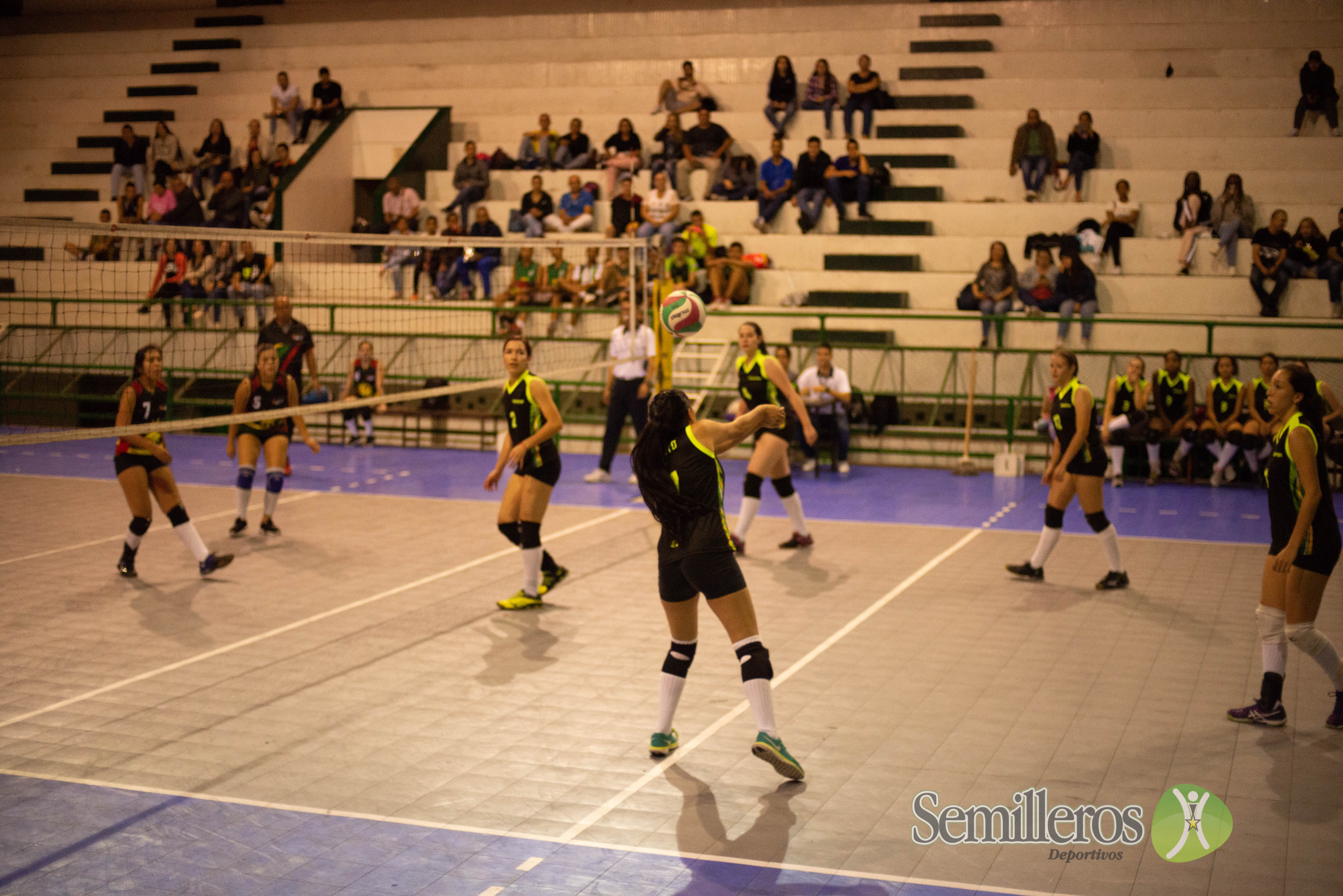 Final Voleibol femenino Universus
