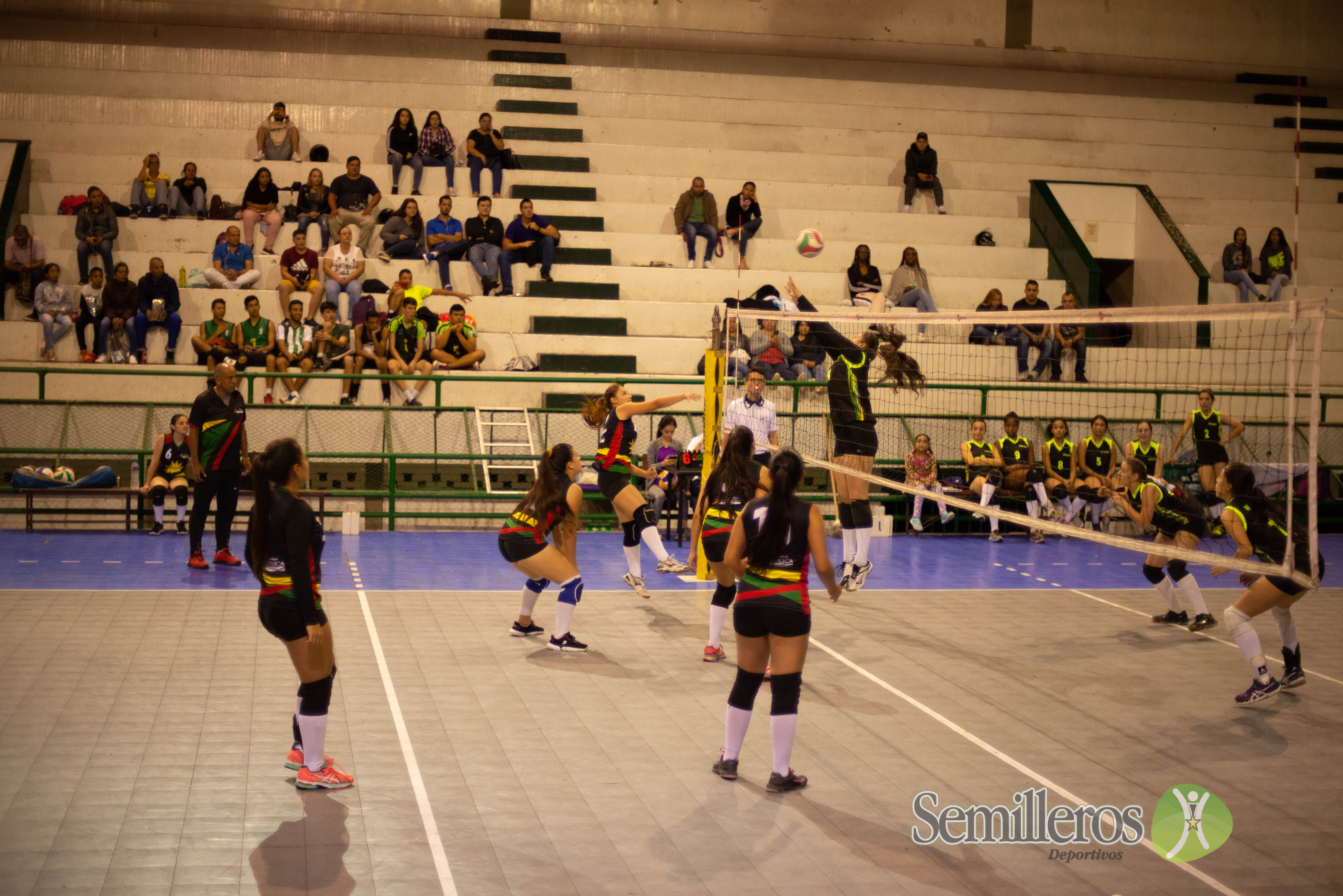 Final Voleibol femenino Universus